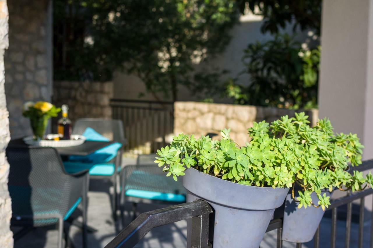 Sestrice Διαμέρισμα Drage Εξωτερικό φωτογραφία